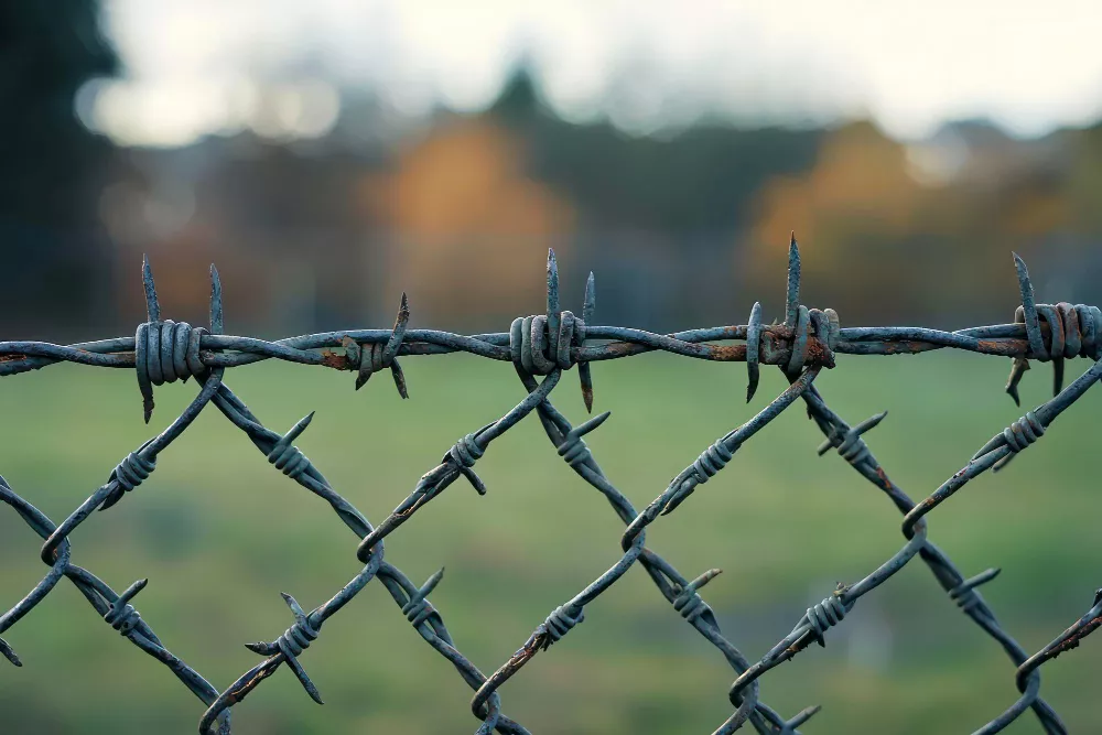 Wire Fences